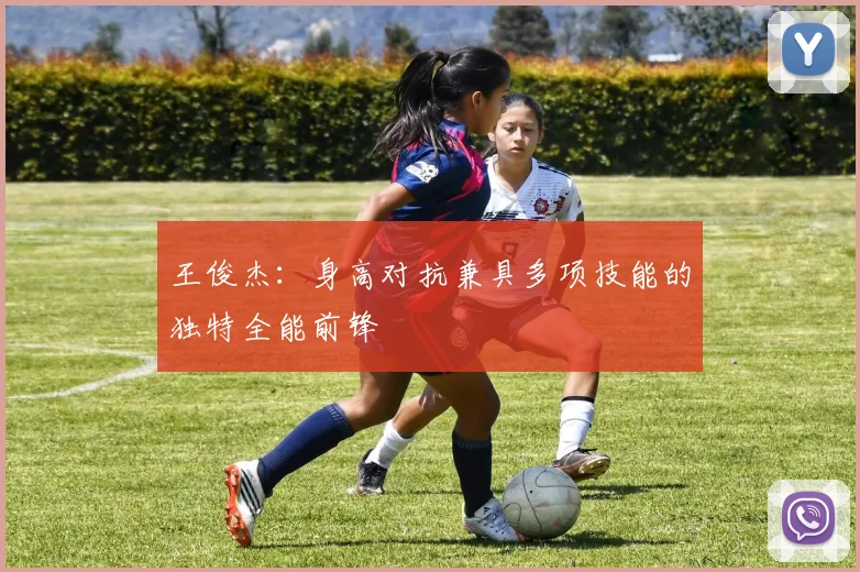 王俊杰：身高对抗兼具多项技能的独特全能前锋
